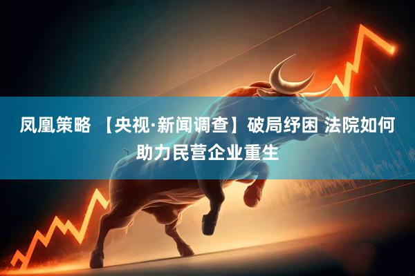 凤凰策略 【央视·新闻调查】破局纾困 法院如何助力民营企业重生
