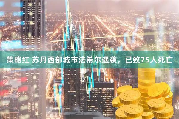 策略红 苏丹西部城市法希尔遇袭，已致75人死亡