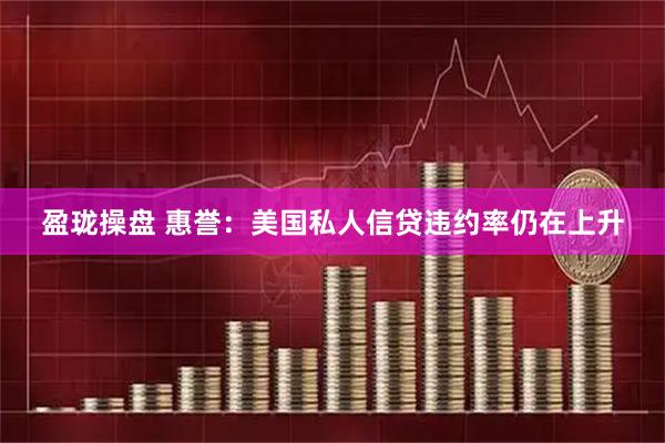 盈珑操盘 惠誉：美国私人信贷违约率仍在上升