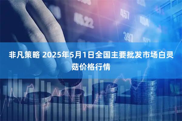 非凡策略 2025年5月1日全国主要批发市场白灵菇价格行情