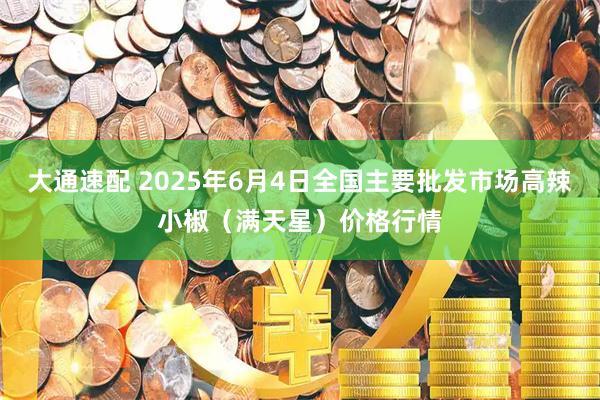 大通速配 2025年6月4日全国主要批发市场高辣小椒（满天星）价格行情