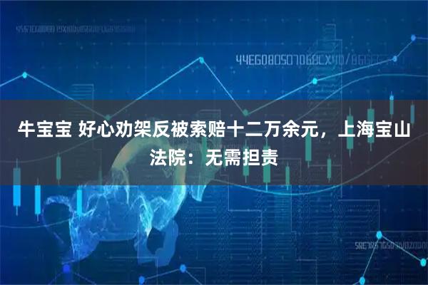 牛宝宝 好心劝架反被索赔十二万余元，上海宝山法院：无需担责