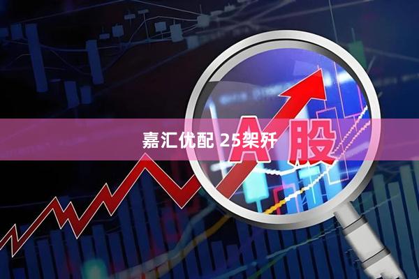 嘉汇优配 25架歼