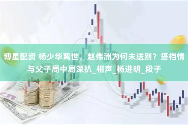 博星配资 杨少华离世，赵伟洲为何未送别？搭档情与父子局中局深扒_相声_杨进明_段子