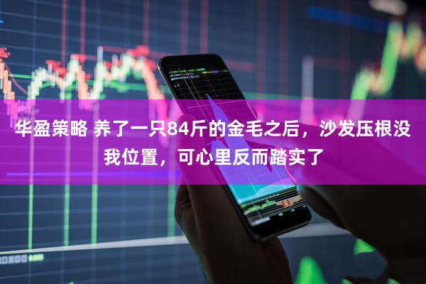 华盈策略 养了一只84斤的金毛之后，沙发压根没我位置，可心里反而踏实了